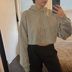 ALO Yoga Cropped Hoodie